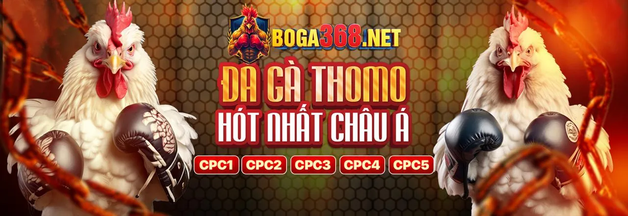 Tổng quan các phương thức thanh toán an toàn tại SoiGiaBet